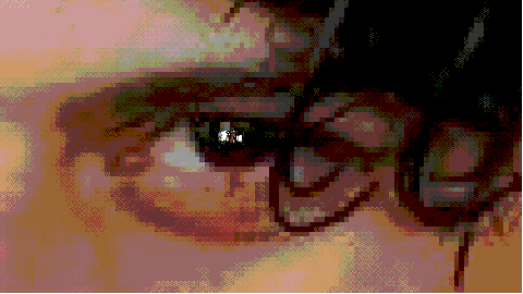 brandonstephenbrent.gif