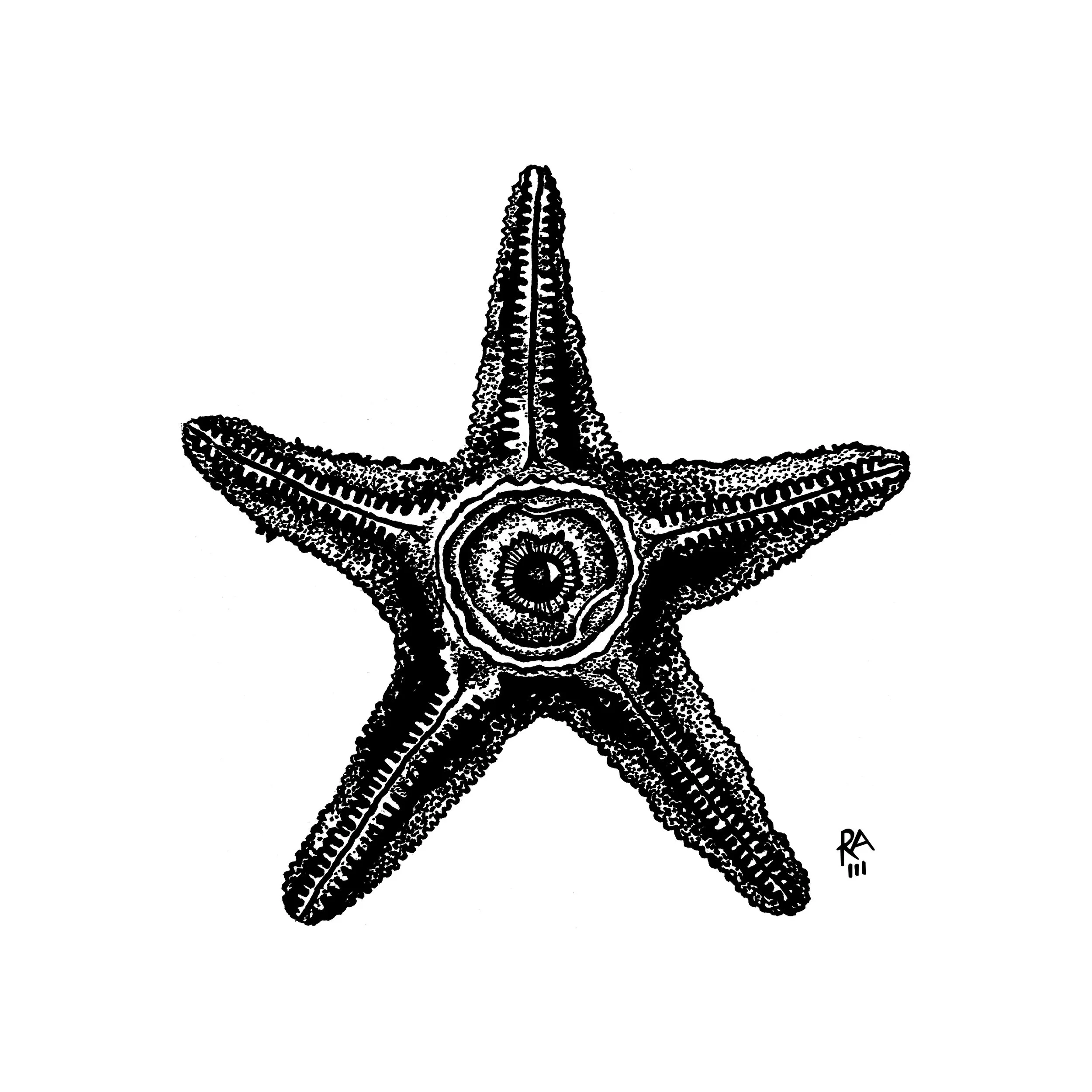 Inktober 2025 07 Starfish.jpg