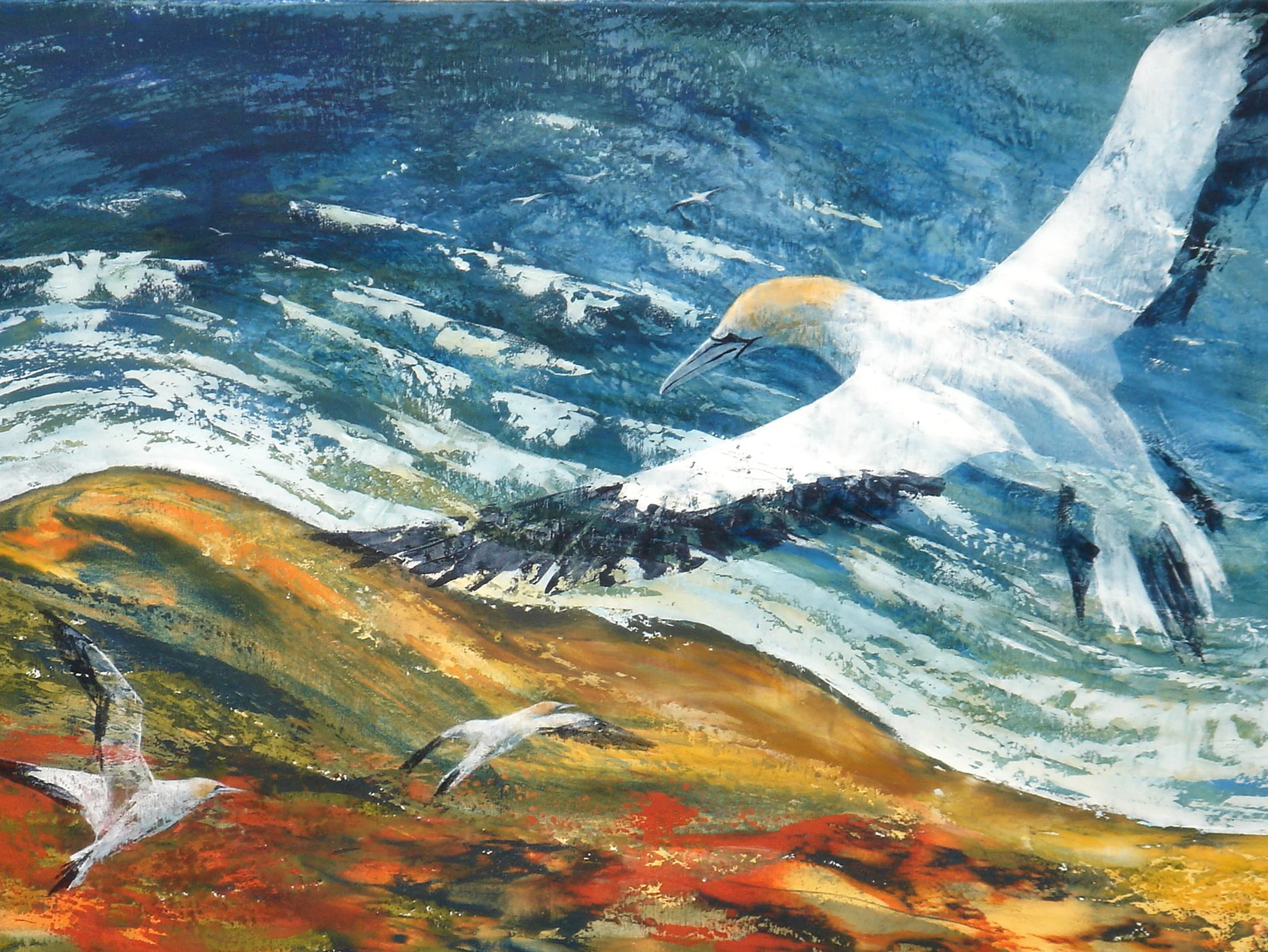 above the roar of surf.jpg