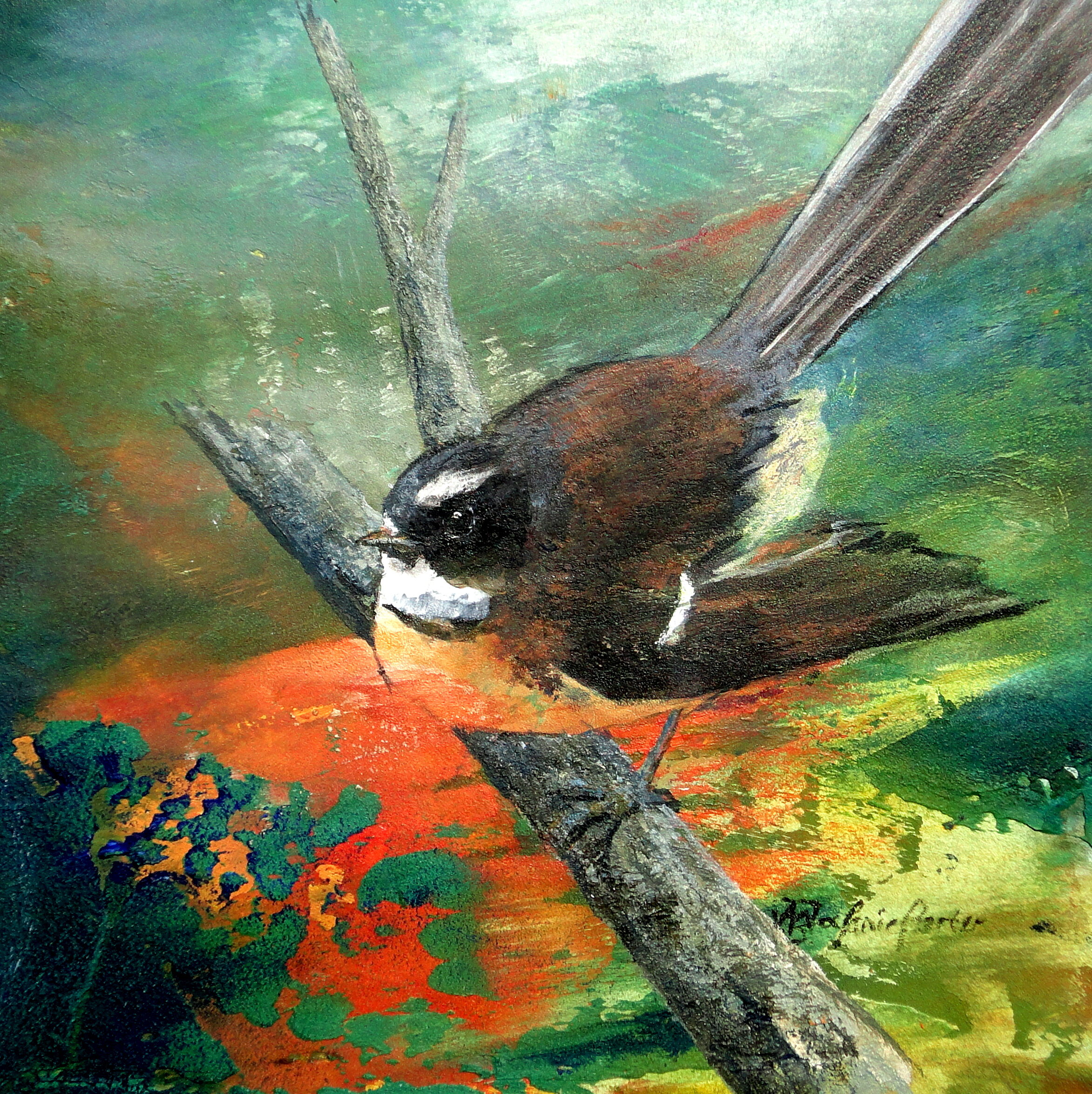 Piwakawaka Fantail.JPG