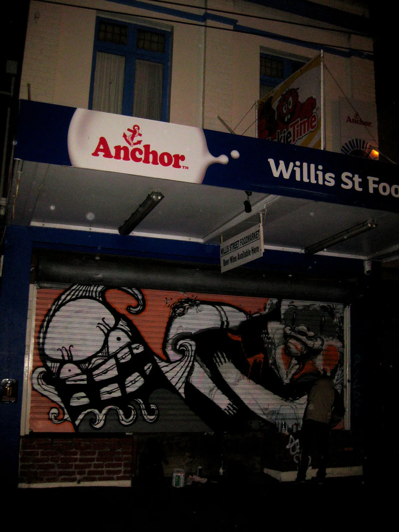 Wellington Roller Door Cracked Ink x Drypnz 2012
