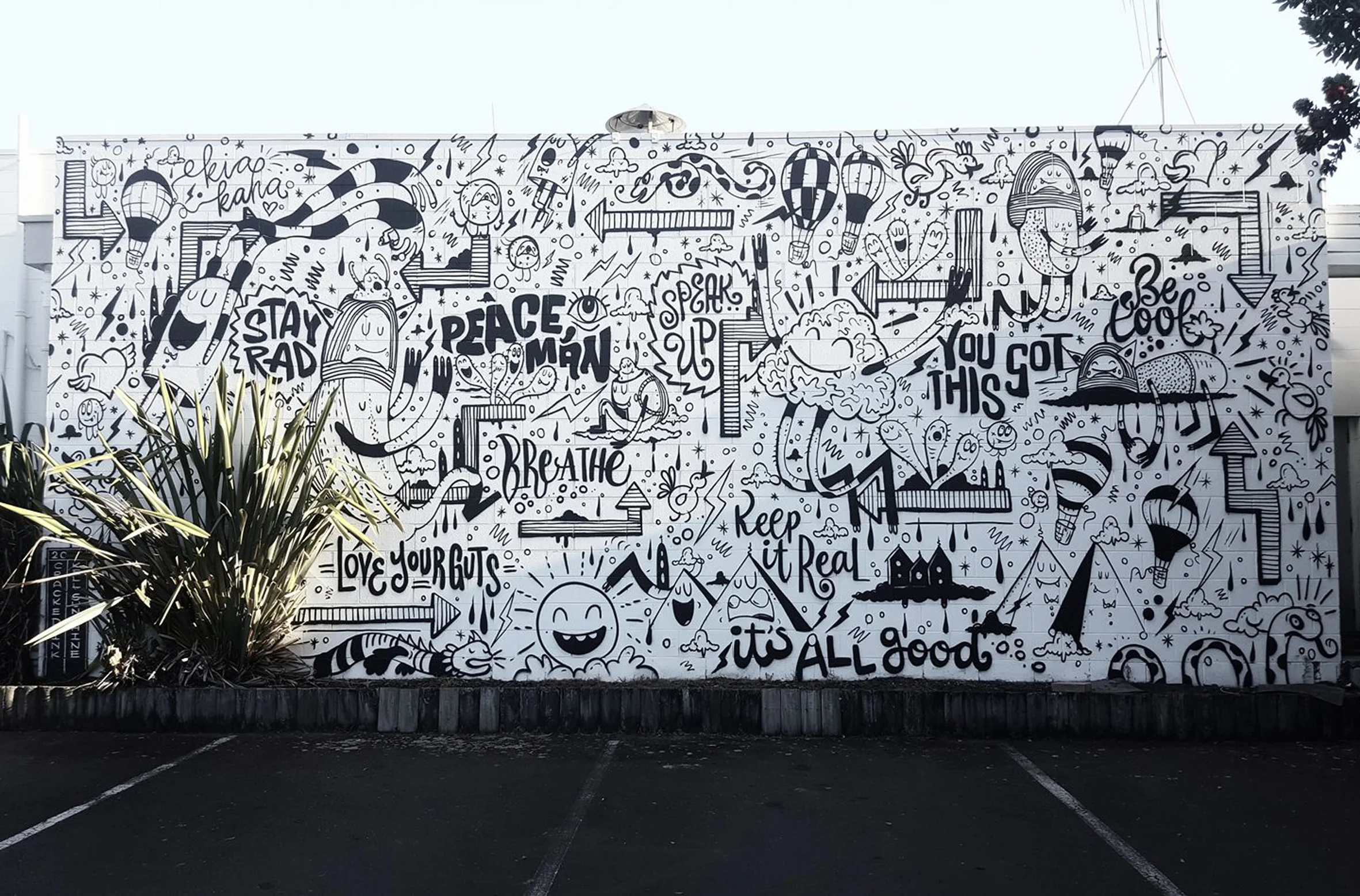 final wall.jpg