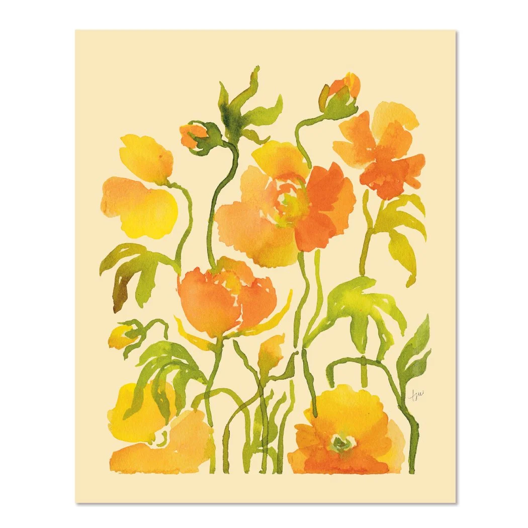 Orange Ranunculus 8x10.jpg