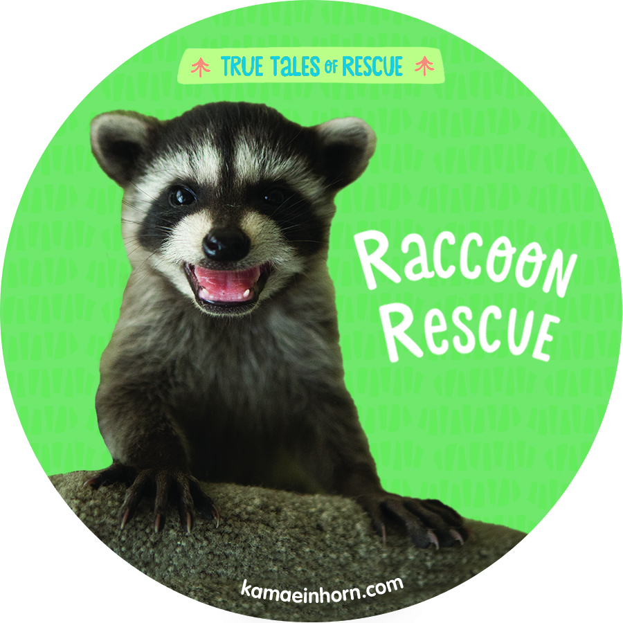 Raccoon V4.jpg