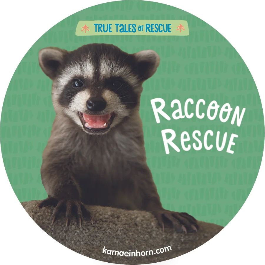Raccoon V4.jpg