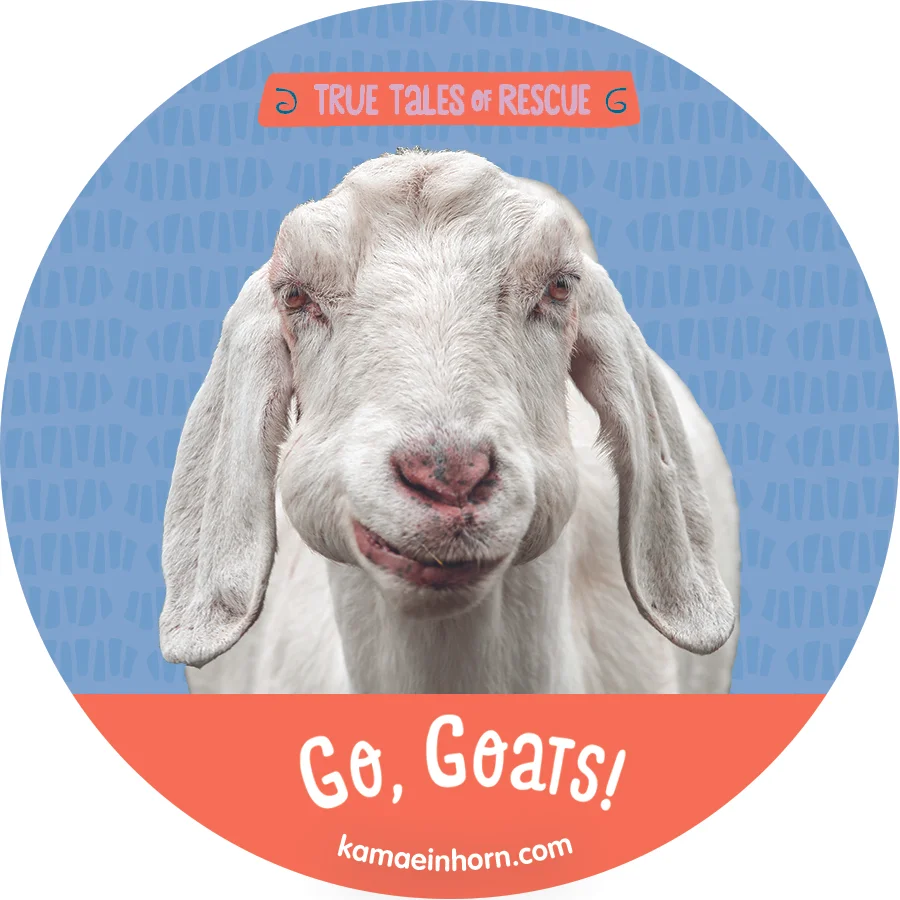 Goat V3.jpg
