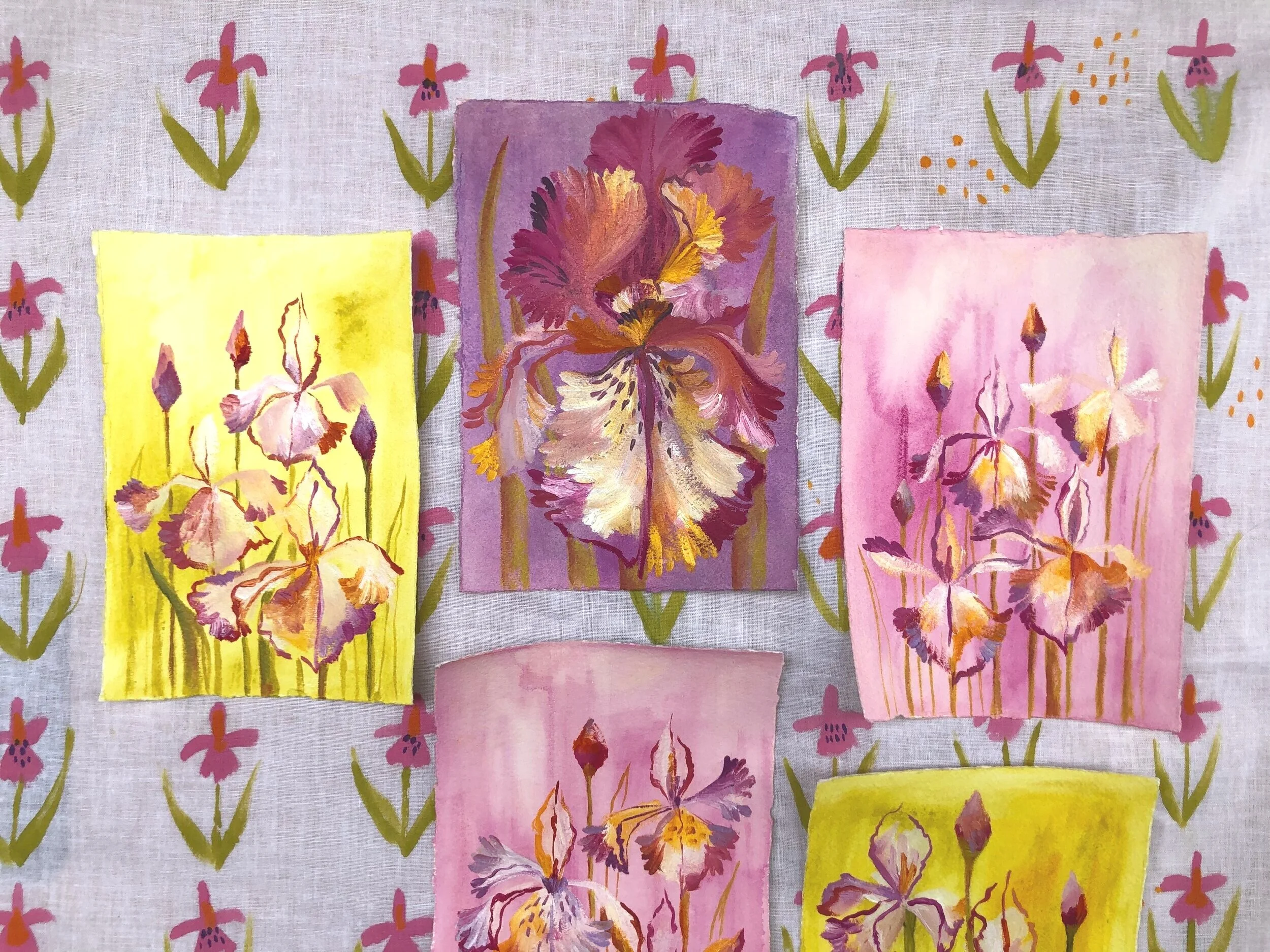 Starting Again + Launch Day