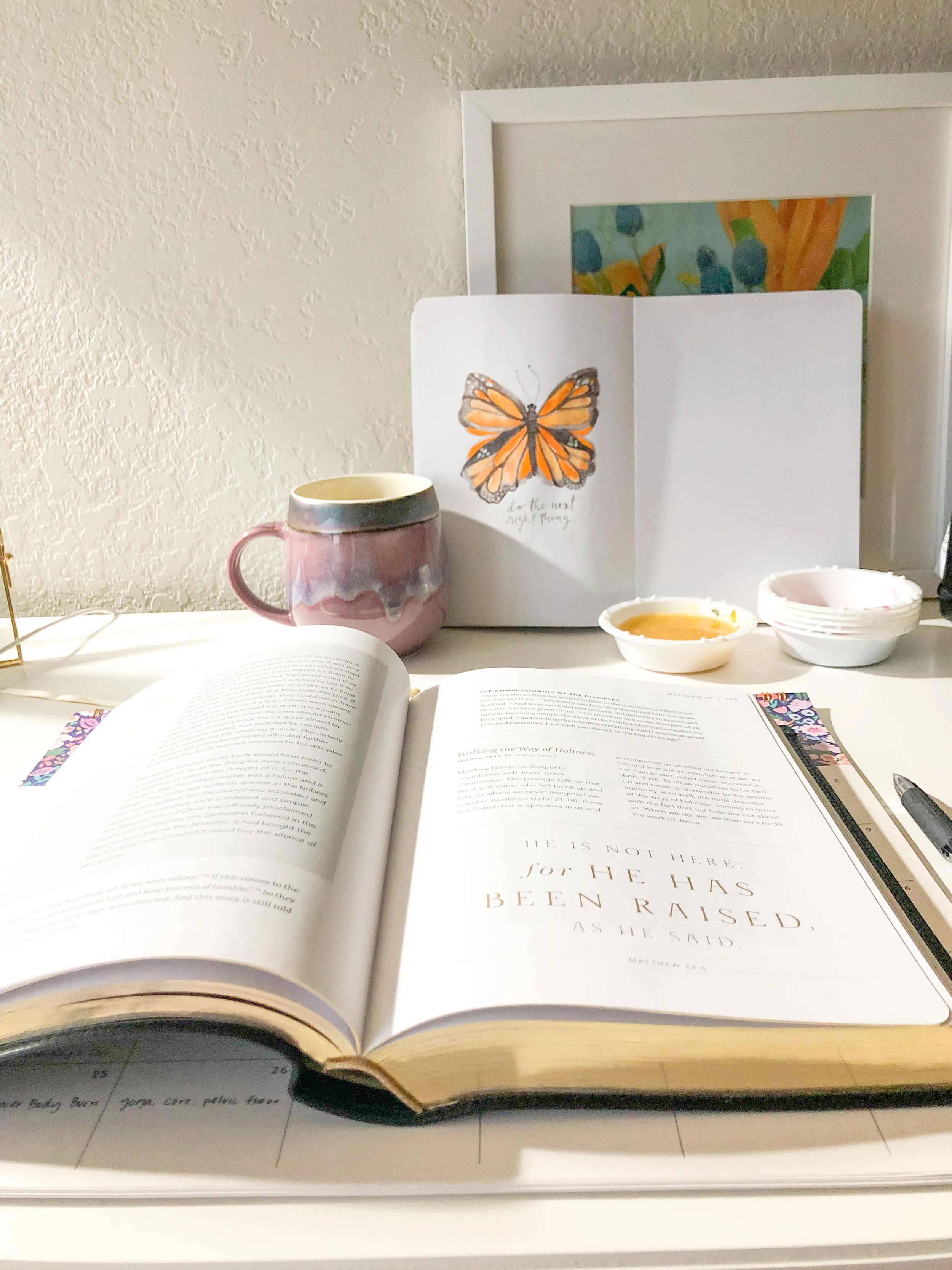 January Beauty Spotting