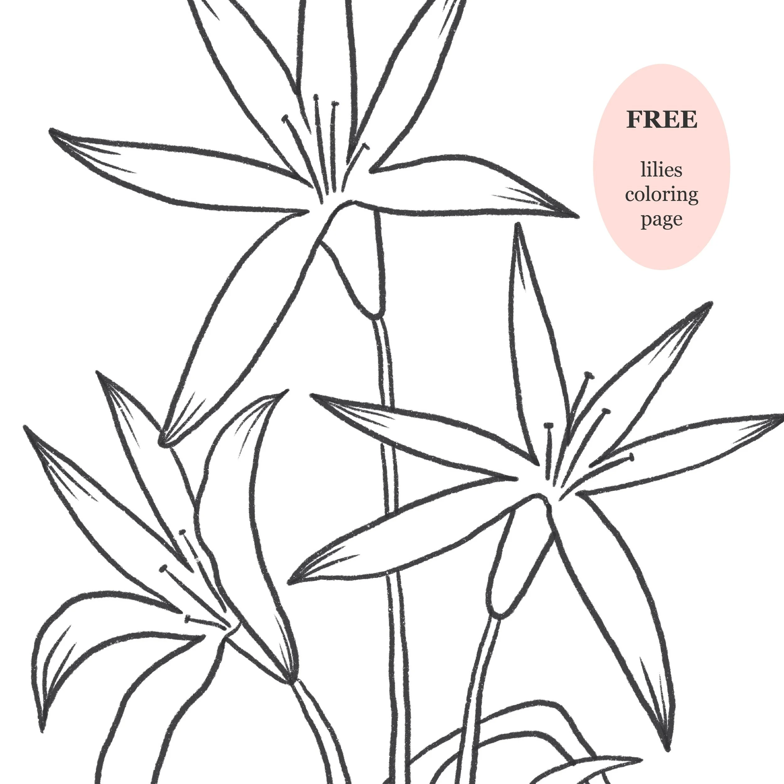 Lilies Digital Download