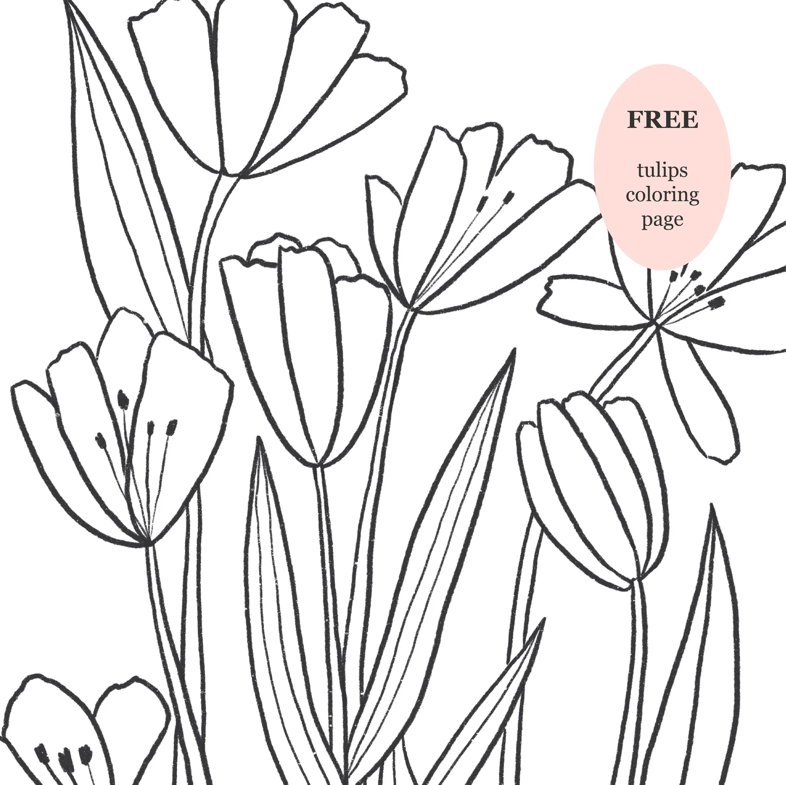 Tulips Digital Download