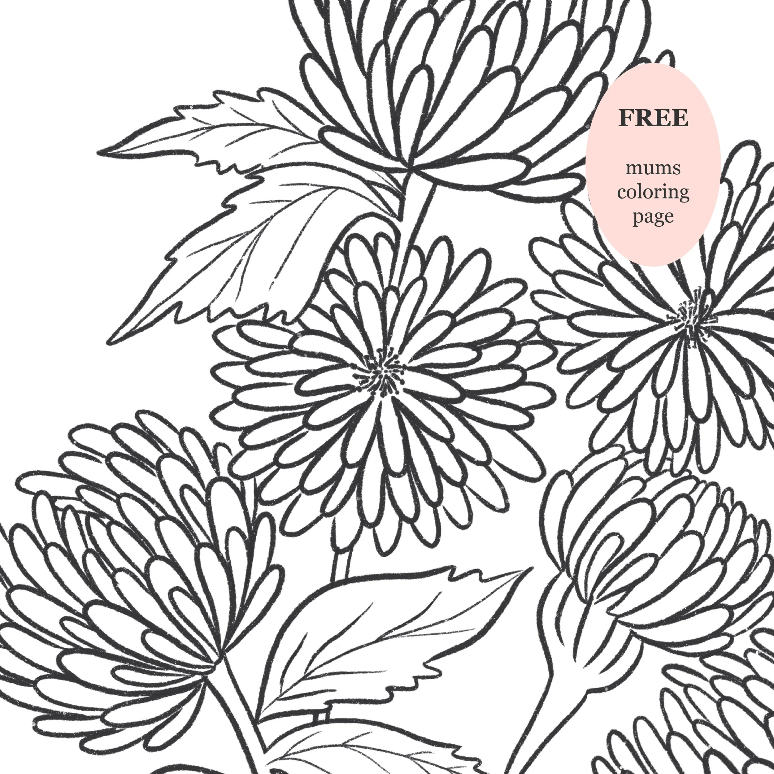 Mums Coloring Page