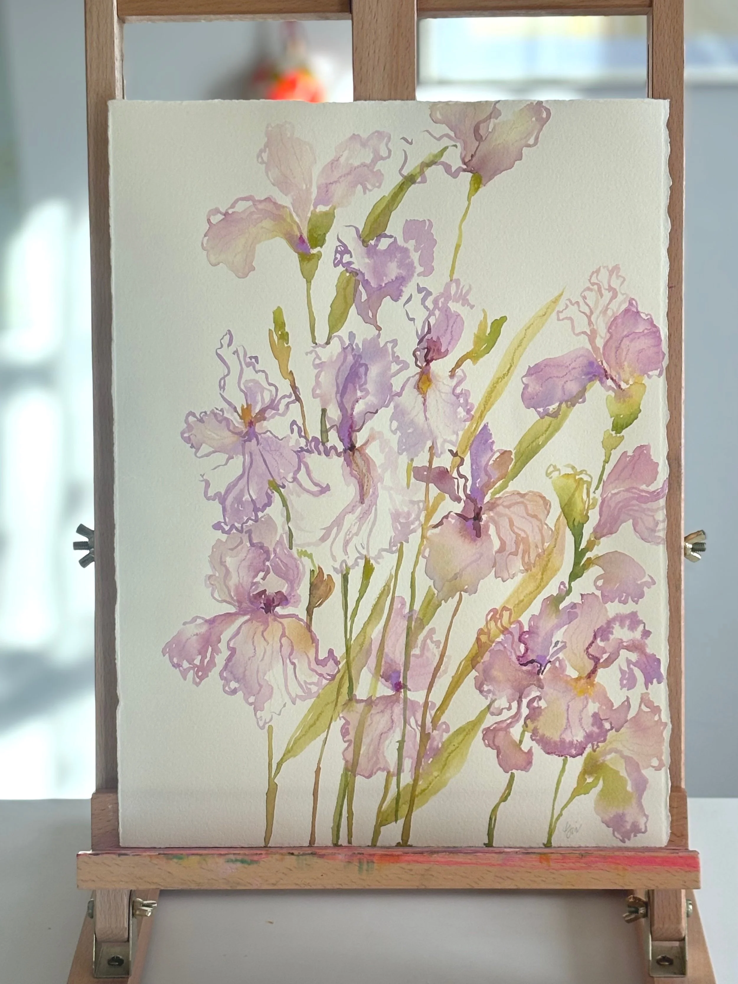 Purple Irises