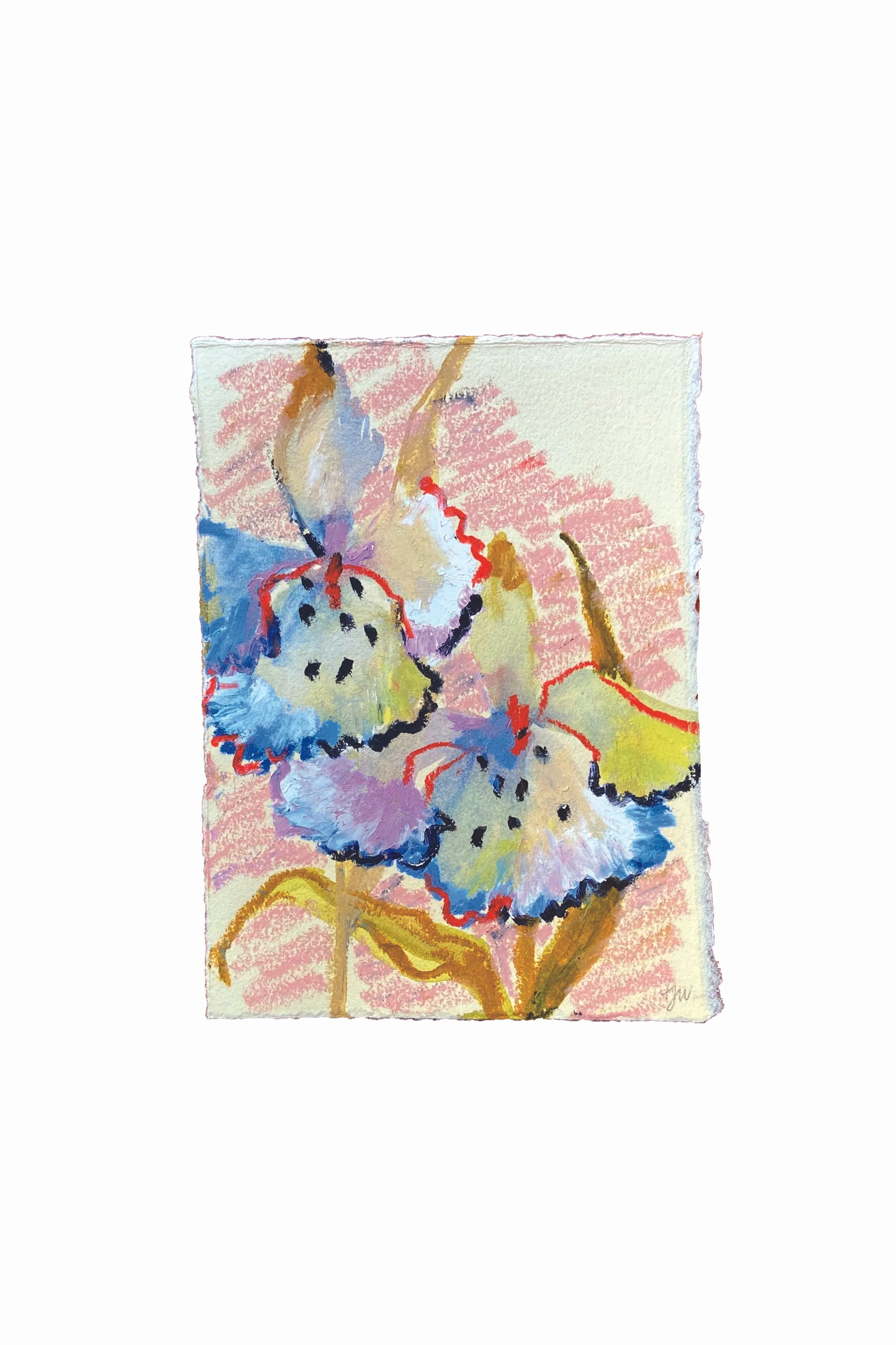 iris study no 4.jpg