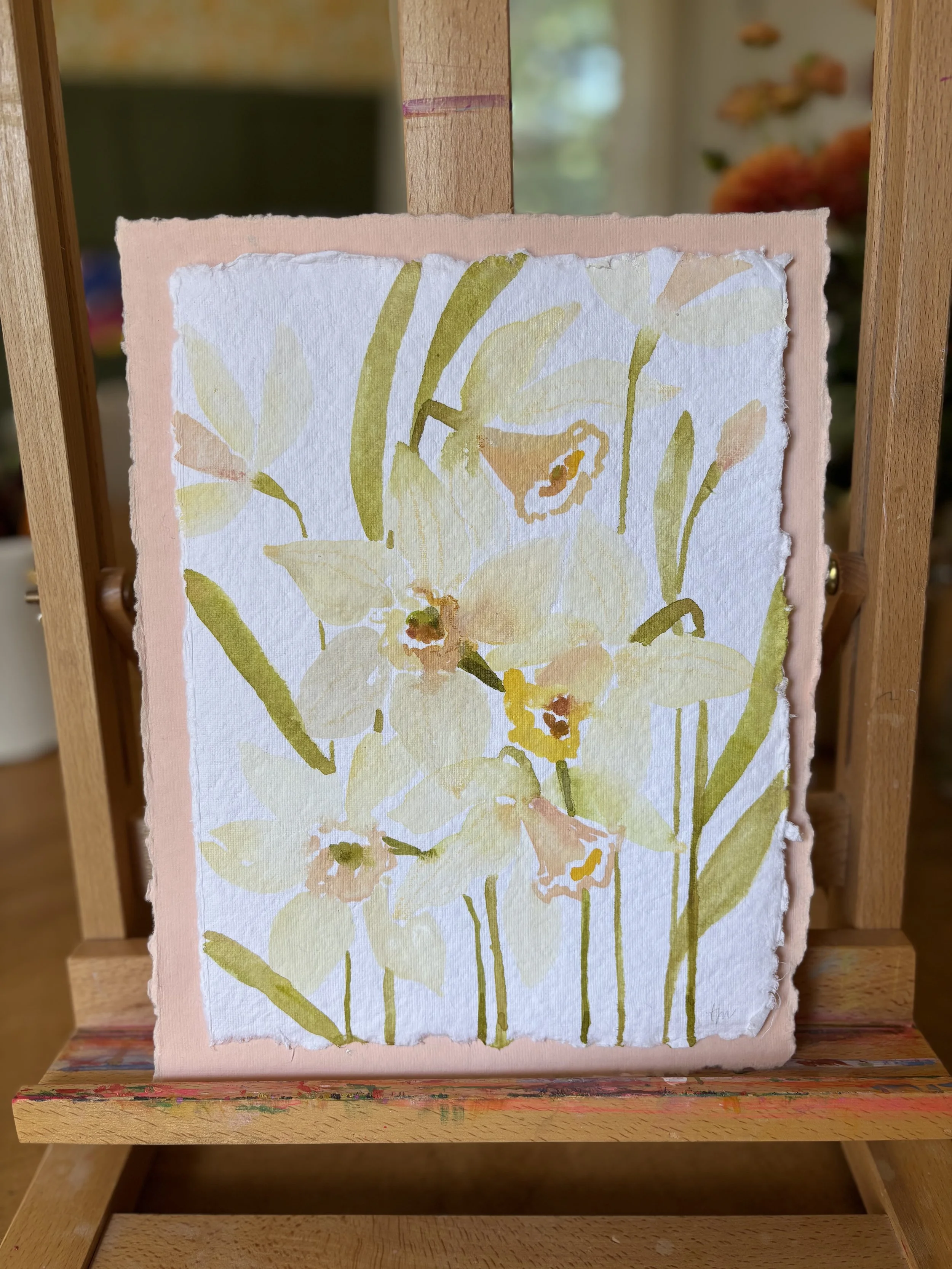 Daffodil on Pale Pink
