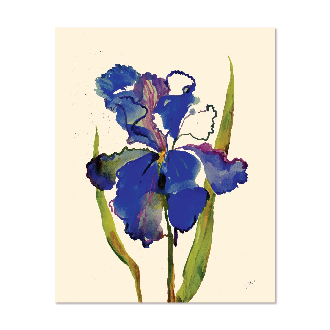 Blue Iris Study 1 8x10.jpg