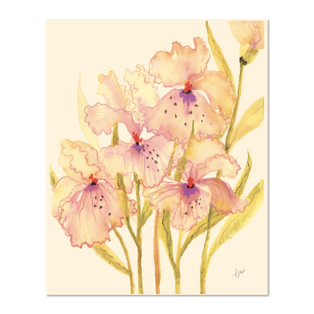 Pink Irises 8x10.jpg