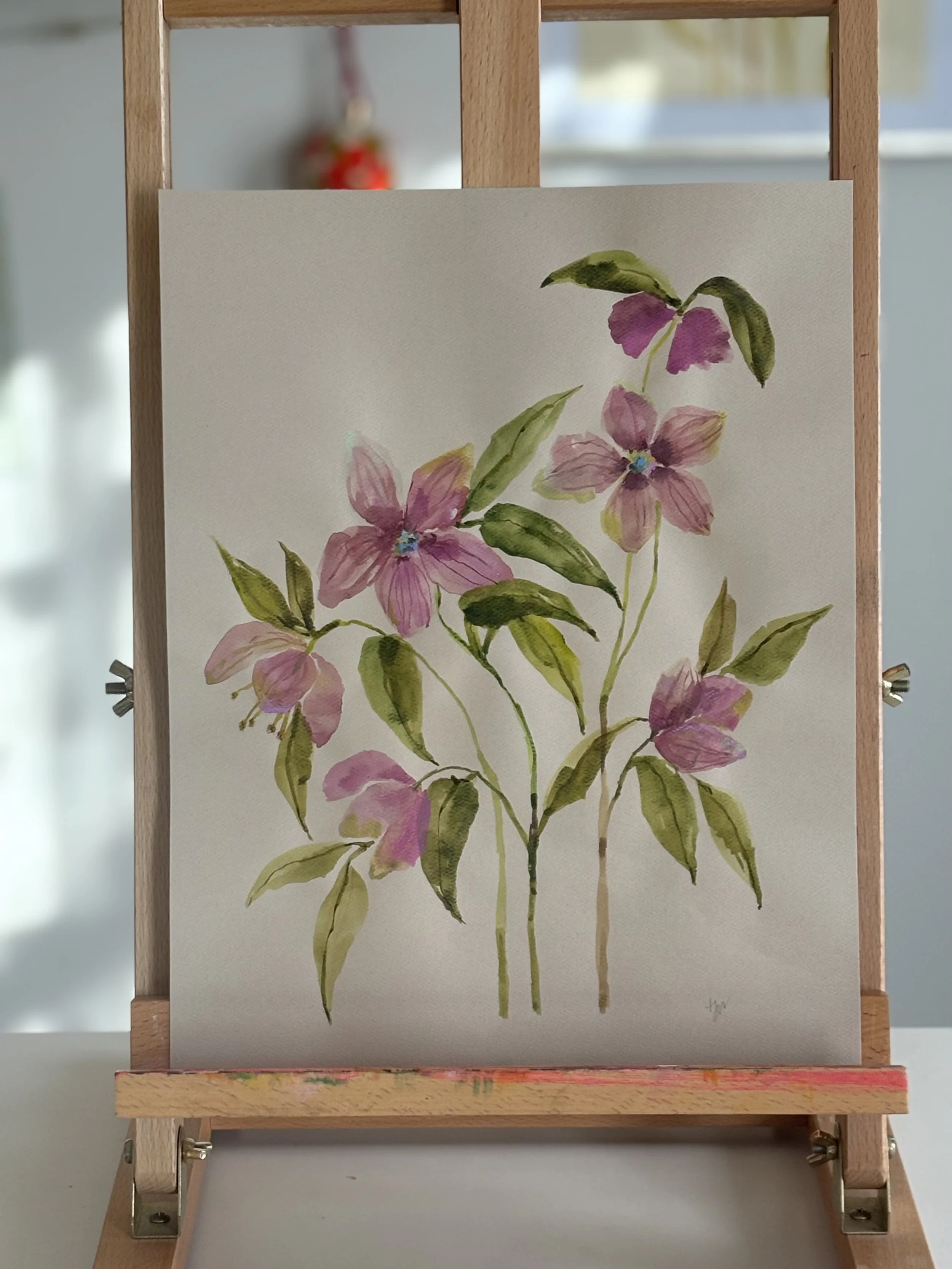 Hellebore Study