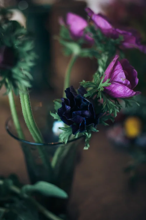 Susanna Todd Funeral Flowers.jpeg