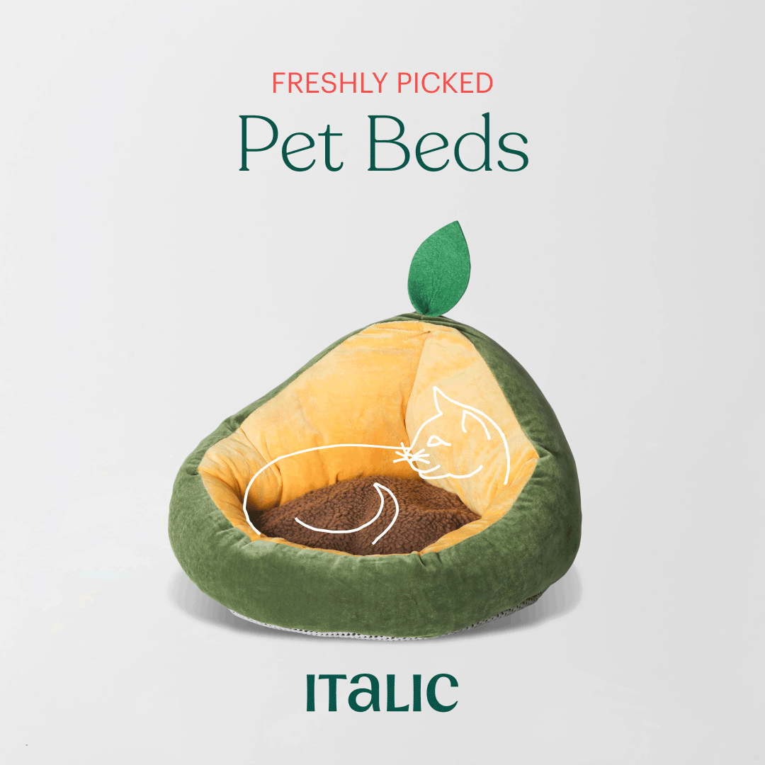 1080x1080-catbed.gif