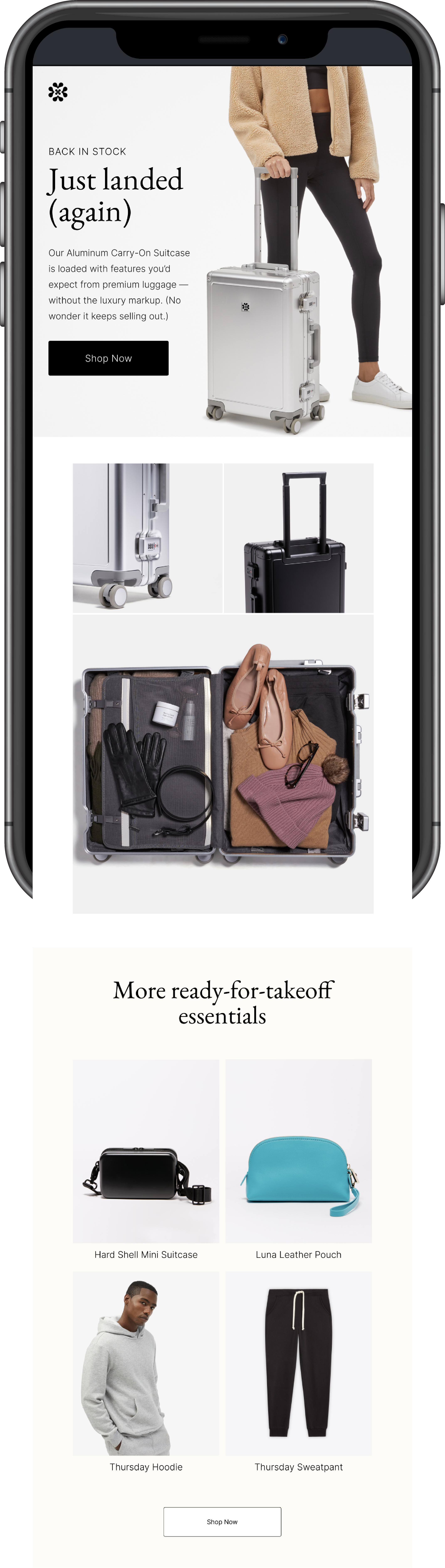 iphone-mockup-luggage.png