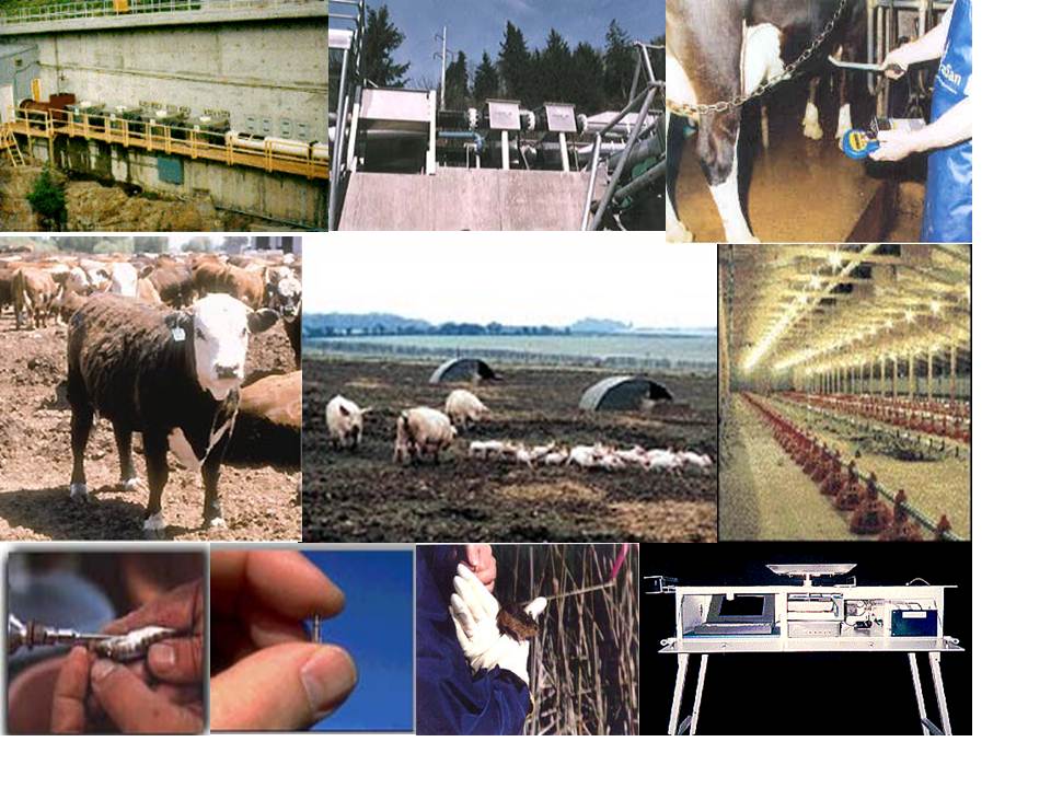 Exhibit 7.8 RF/ID Transponders and Tags used for Livestock Management
