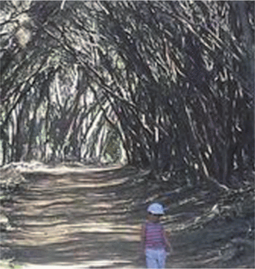 Figure 4. My youngest walking near the most spectacular Wallagoot Gap. We spent the day out at this magical place, swimming with the fish.