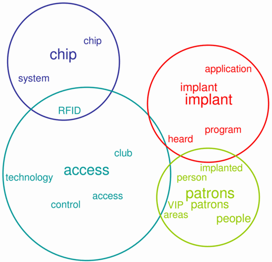 Figure 1. Themes addressed in the interview with the former IT Manager of the Baja Beach Club in 2009