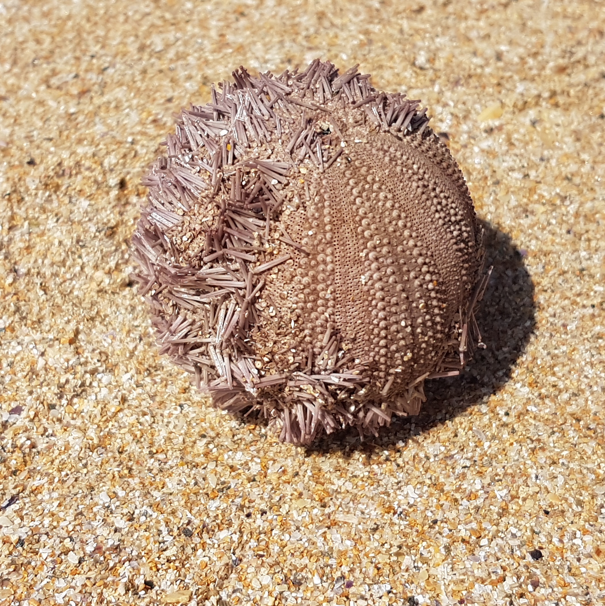 20171130_141914.jpg