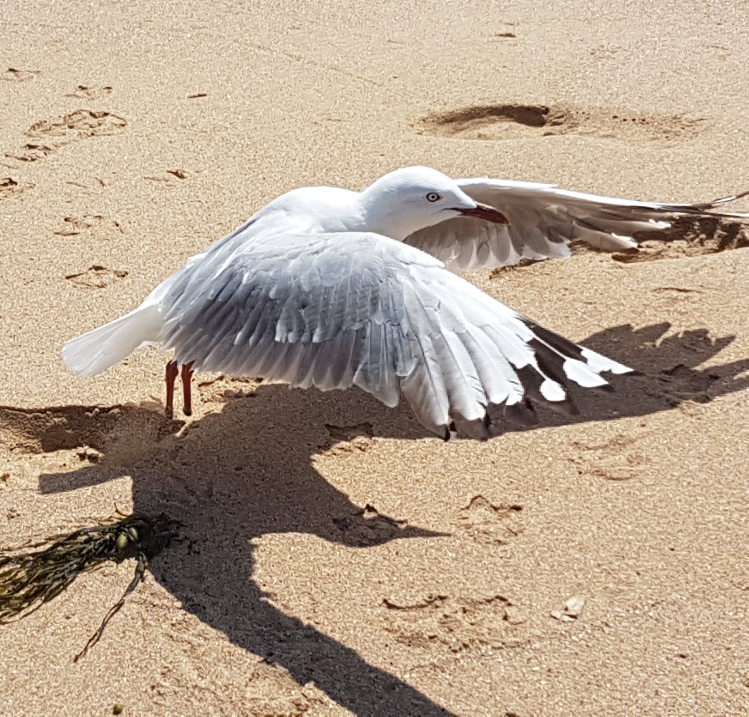 20171130_141529.jpg