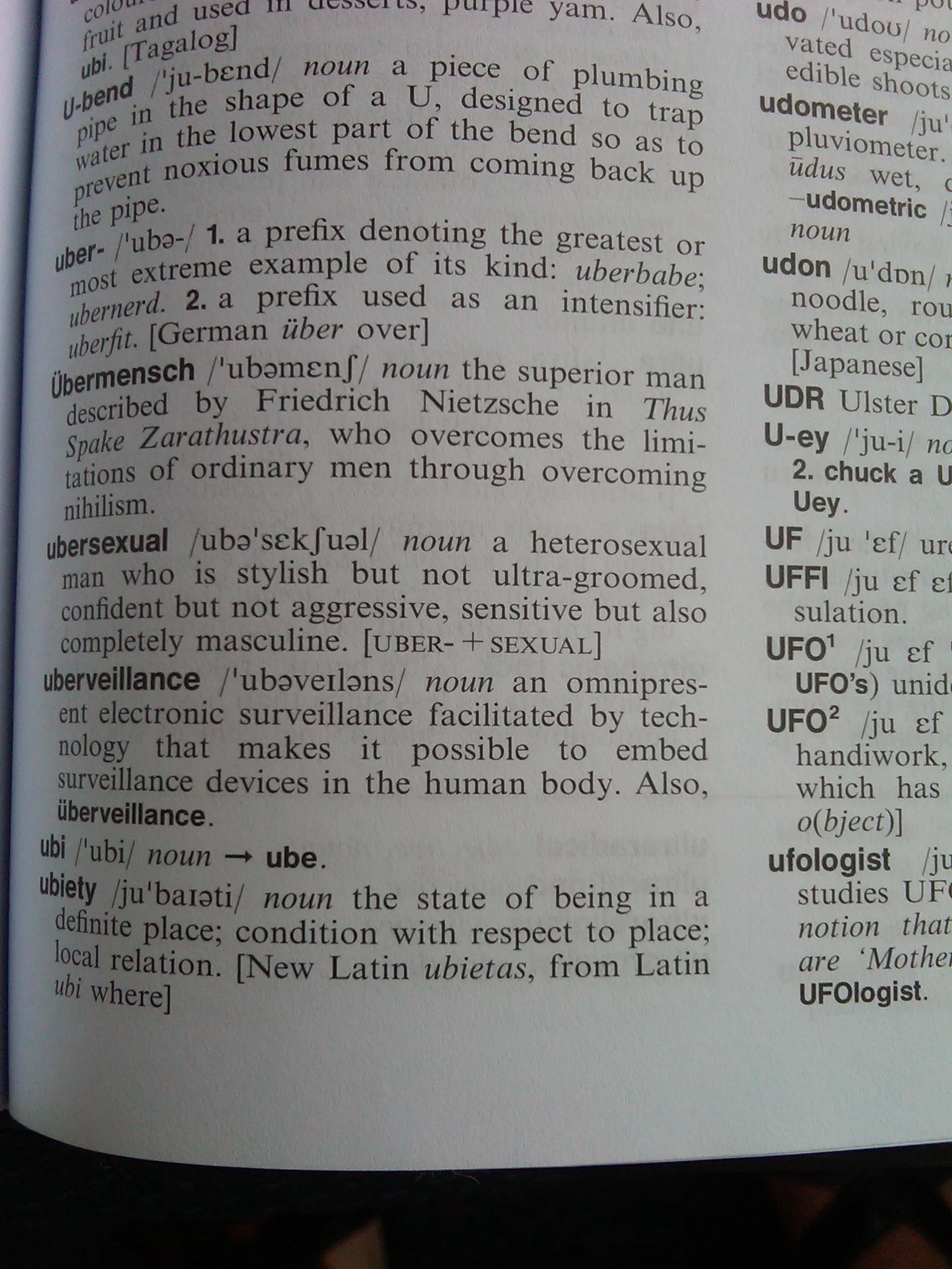 uberveillance definition.jpg