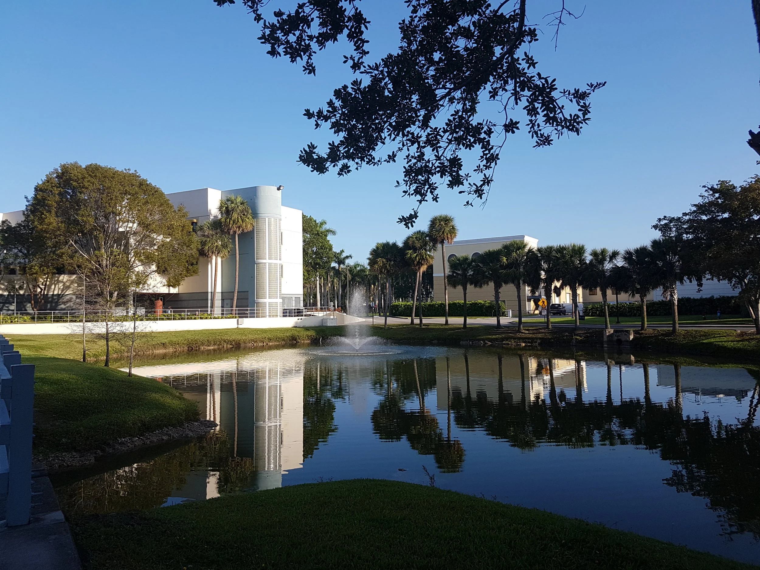Florida International University - Miami Main campus