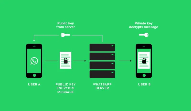 Whatsapp_Encryption_Techyukti.jpg