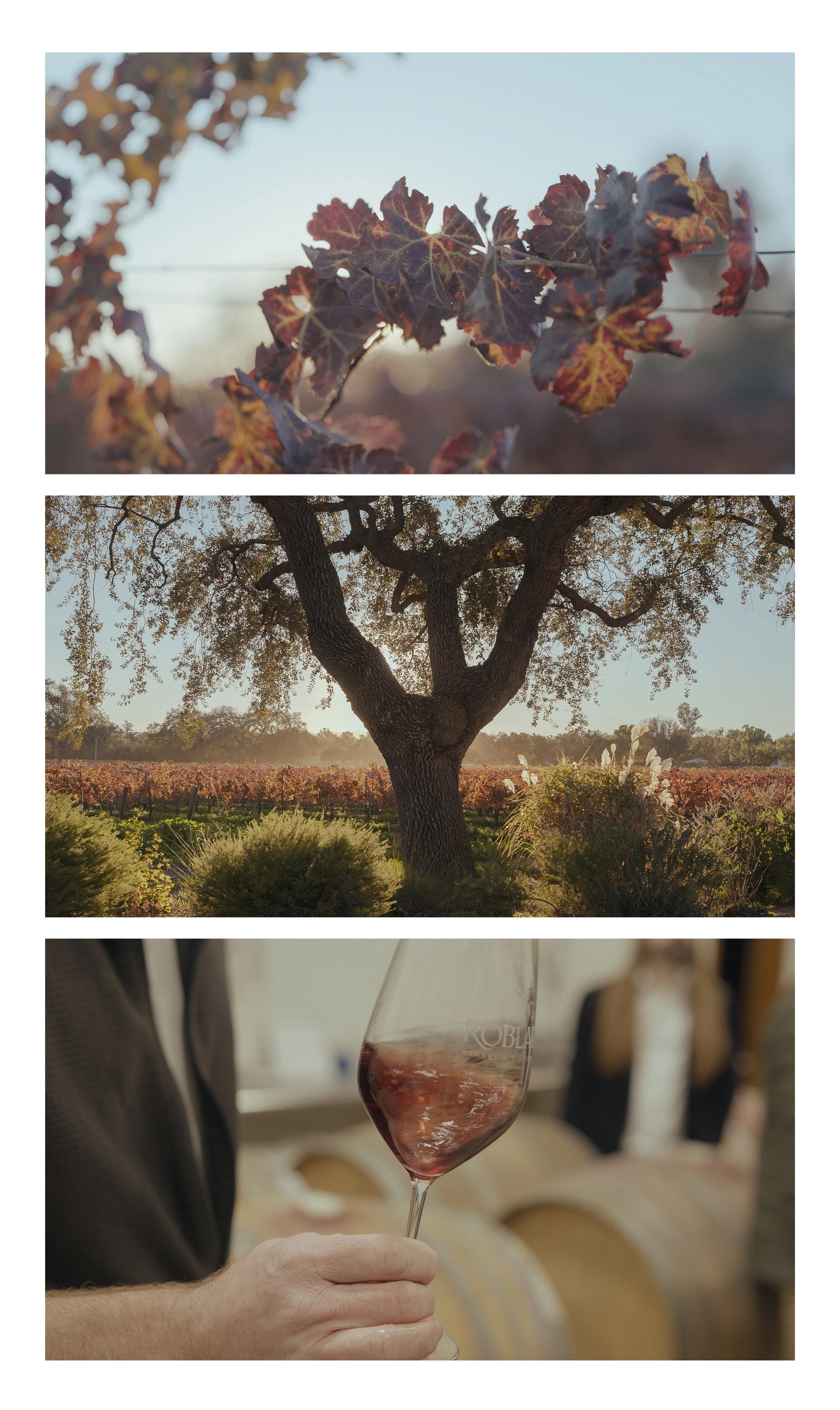 Untitled-1_0001_Rectangle 4 copy 3_0001_Untitled-1_0003_Rectangle 4 copy 2.jpg