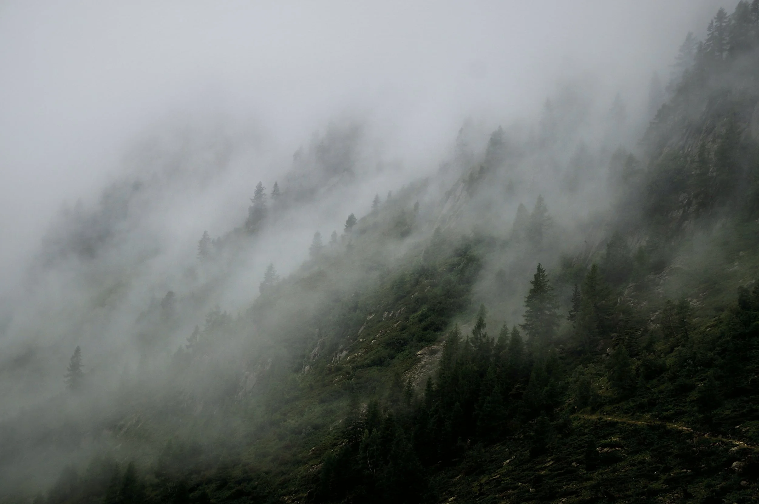 nicolas-cool-113893-unsplash.jpg