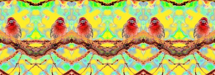 Flocking+together+21x60.jpg