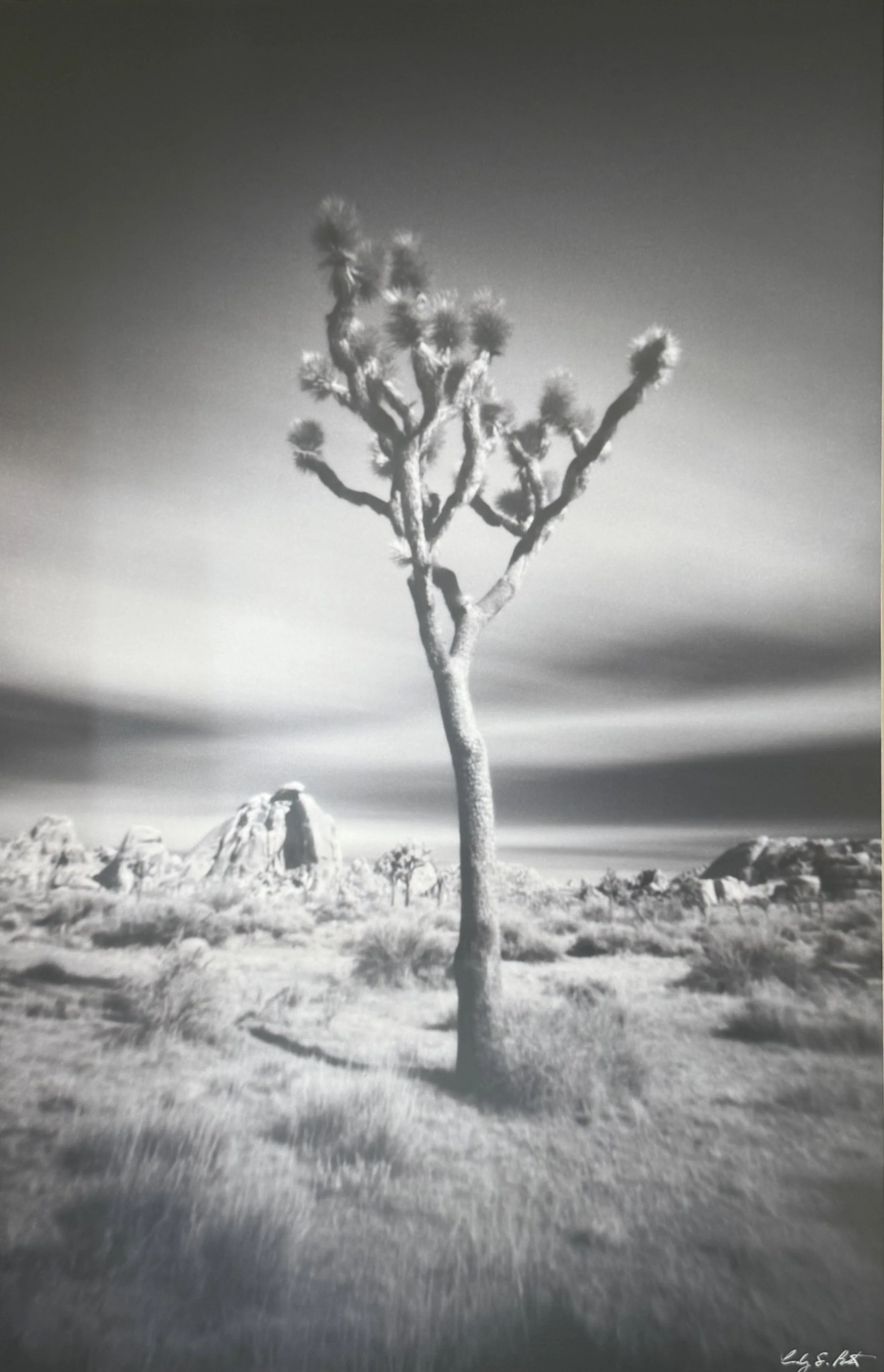 Through the Pinhole 366 - April 24, 2012