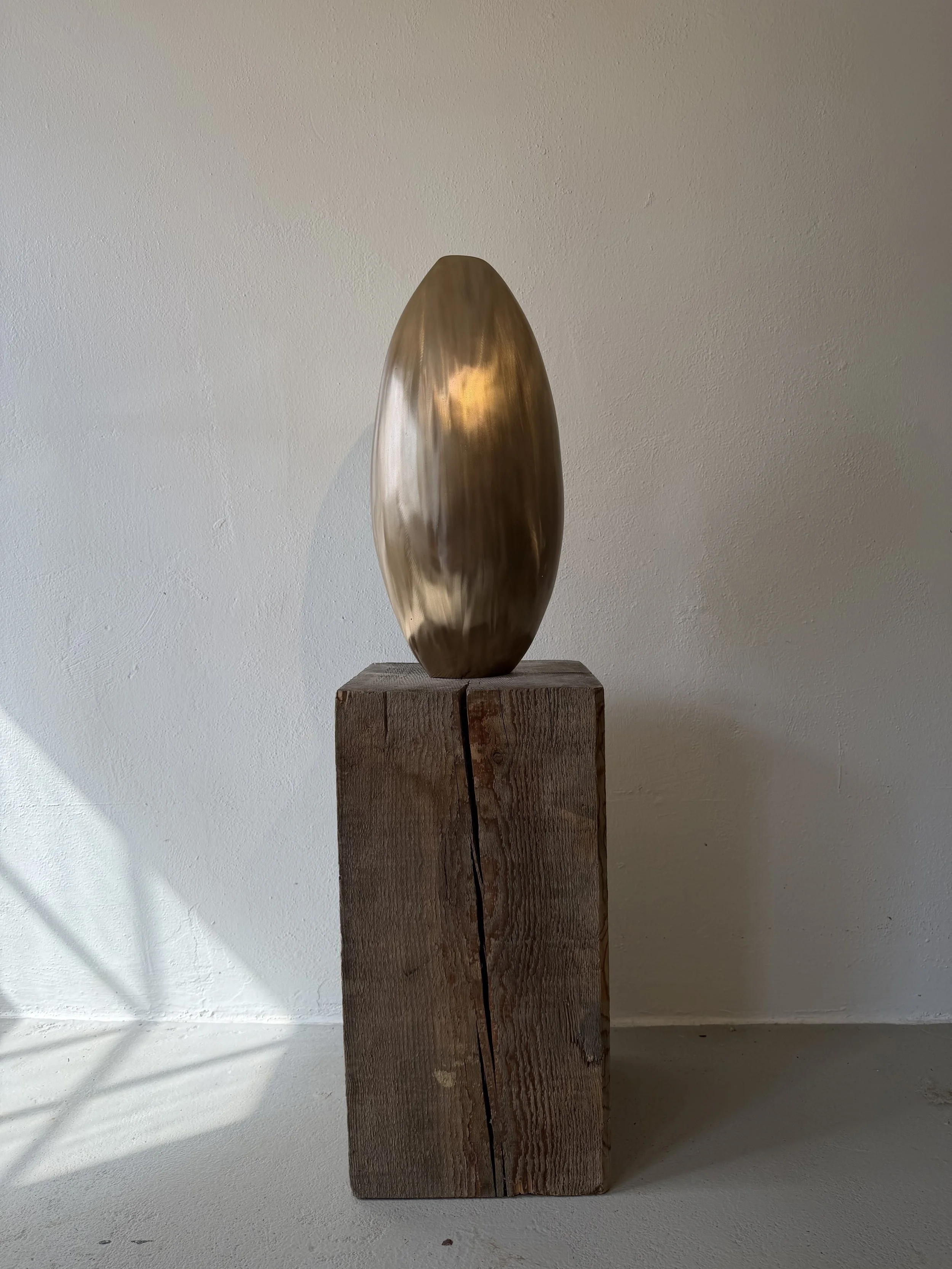 Light Vessel / Light Ribbon