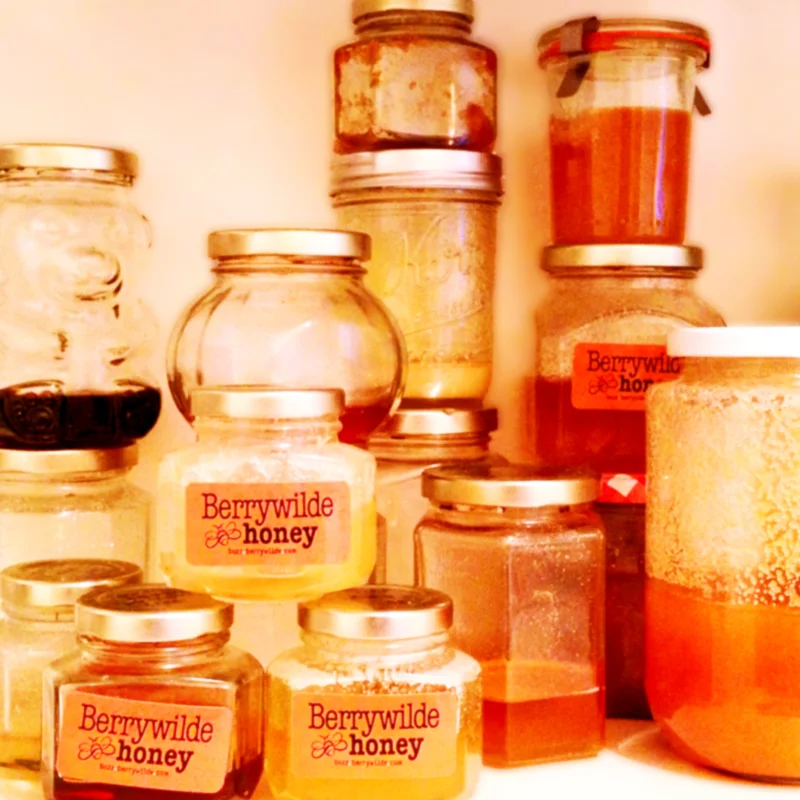 honey label > designed for my father in-law's berrywilde honey... from the bees on whidbey island