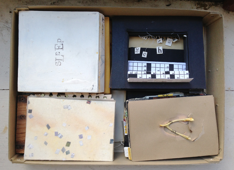 artist books > sleep book. puzzle tunnel book. insanity is to art book. fore edge wishbone book.&nbsp;