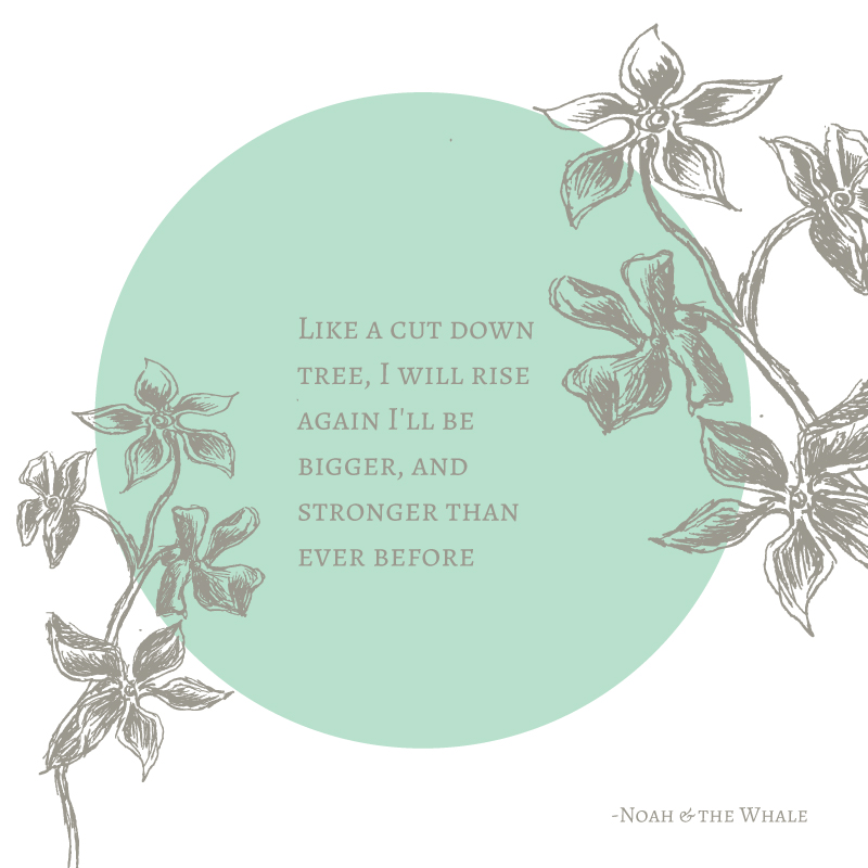 Quote from one of my favorite songs from one of my favorite albums; "First Days of Spring" by Noah & The Whale. Give it a listen here