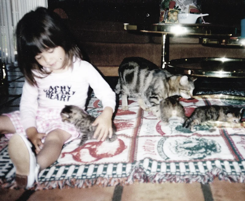 kitties.jpg