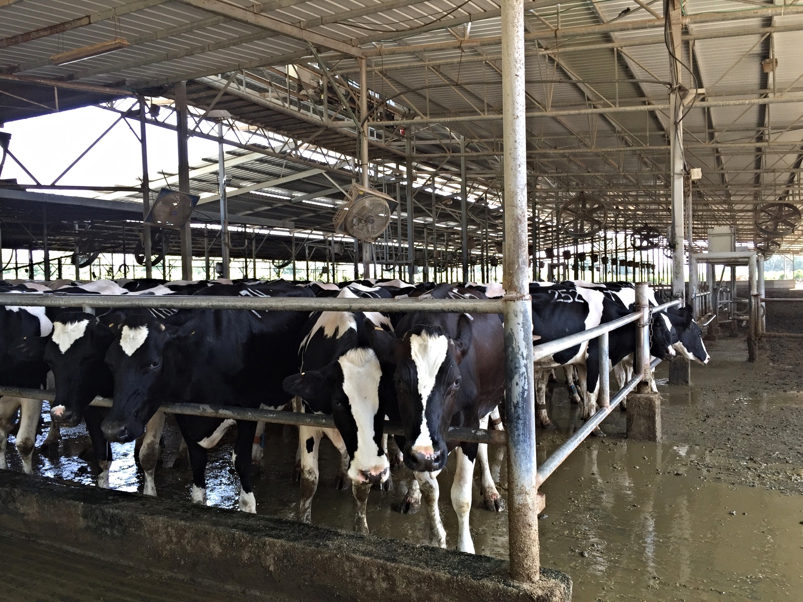 Aquanos will launch a new exciting waste water treatment product