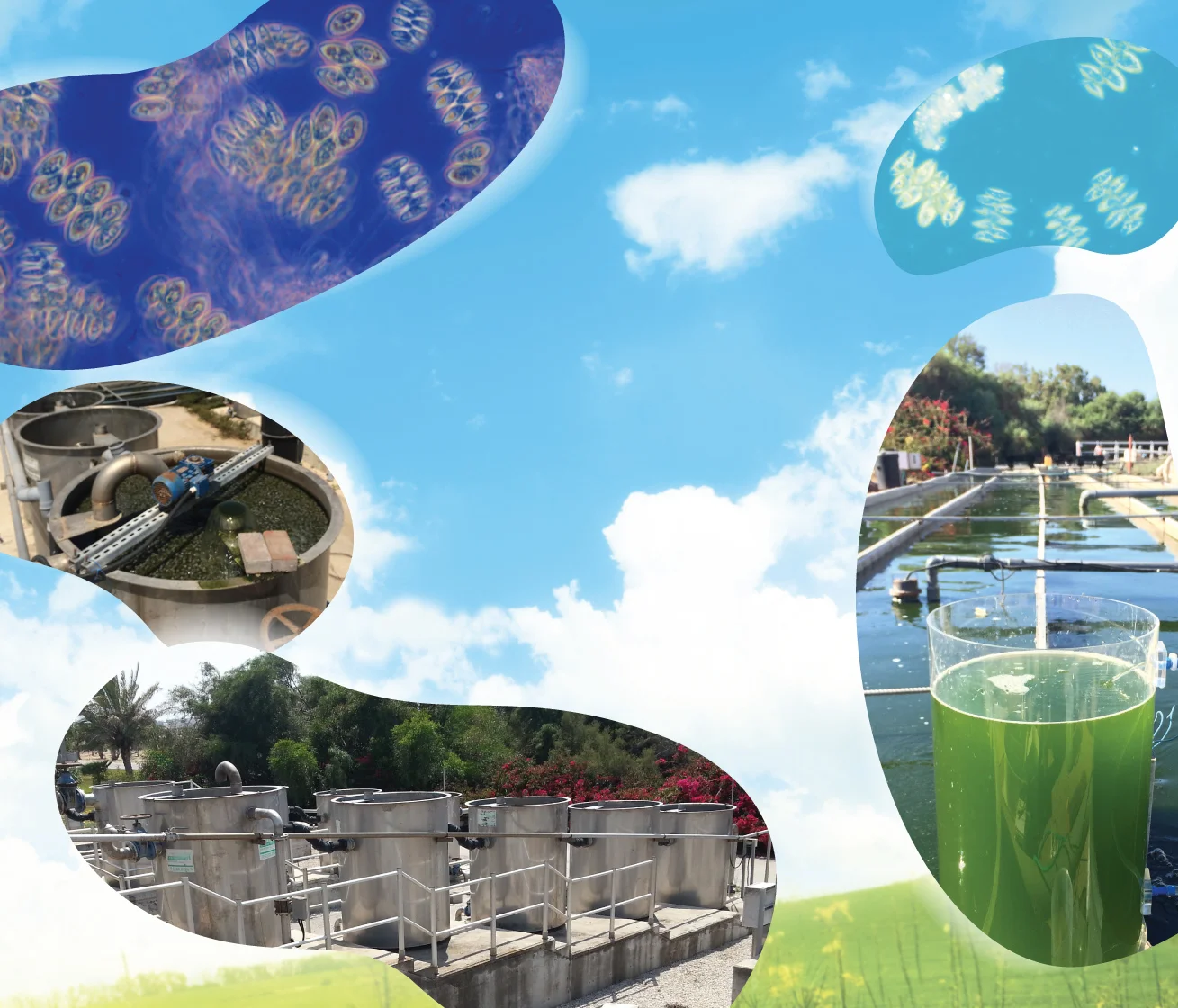 A new blog and a facebook page