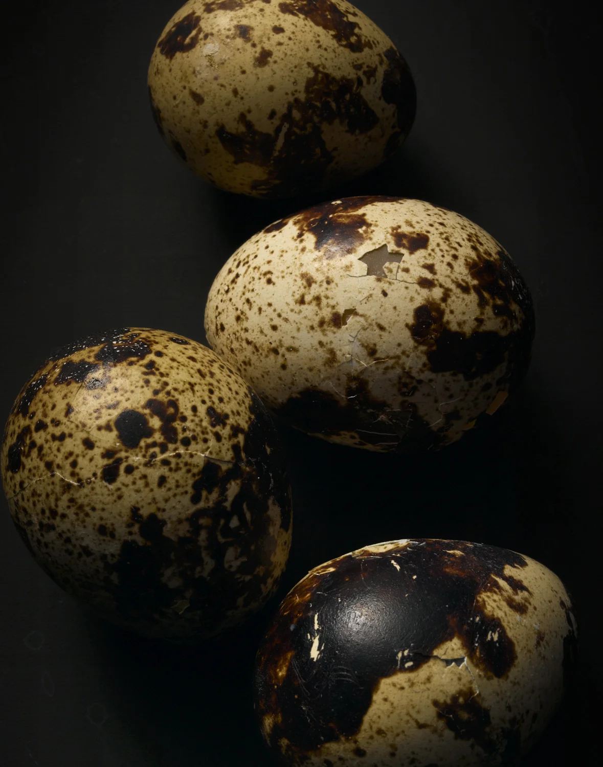 Eggs_02.jpg