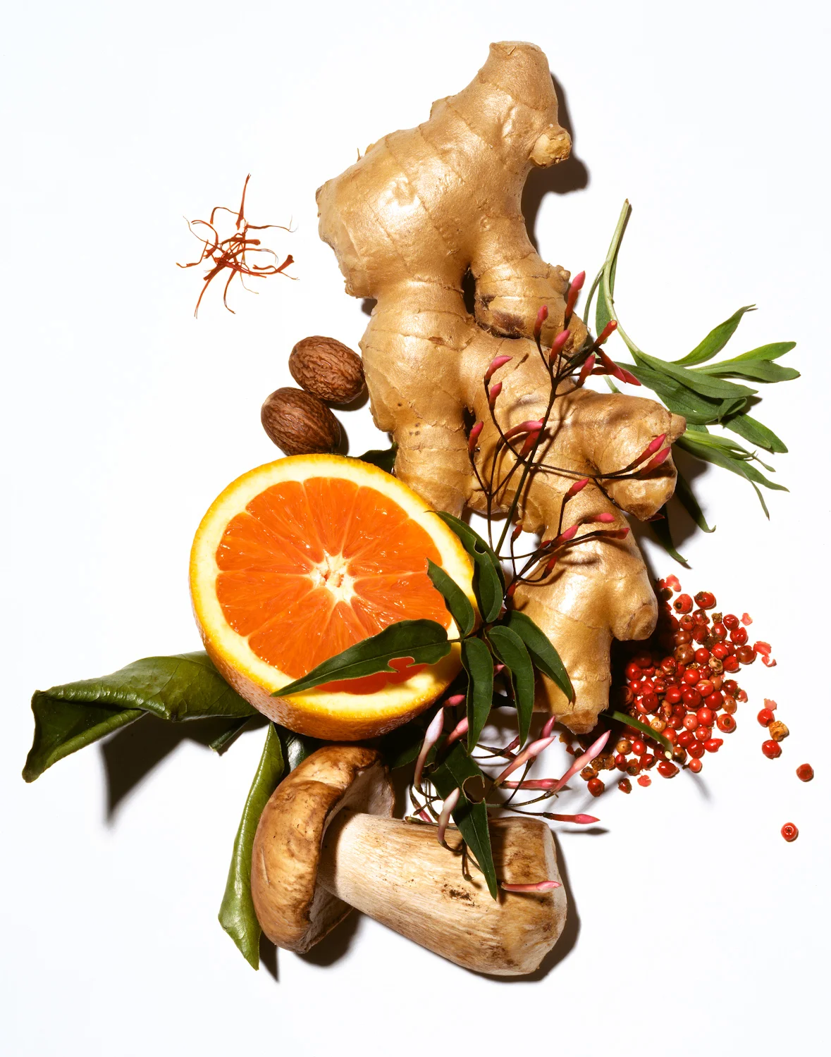IngredientsRGB.jpg