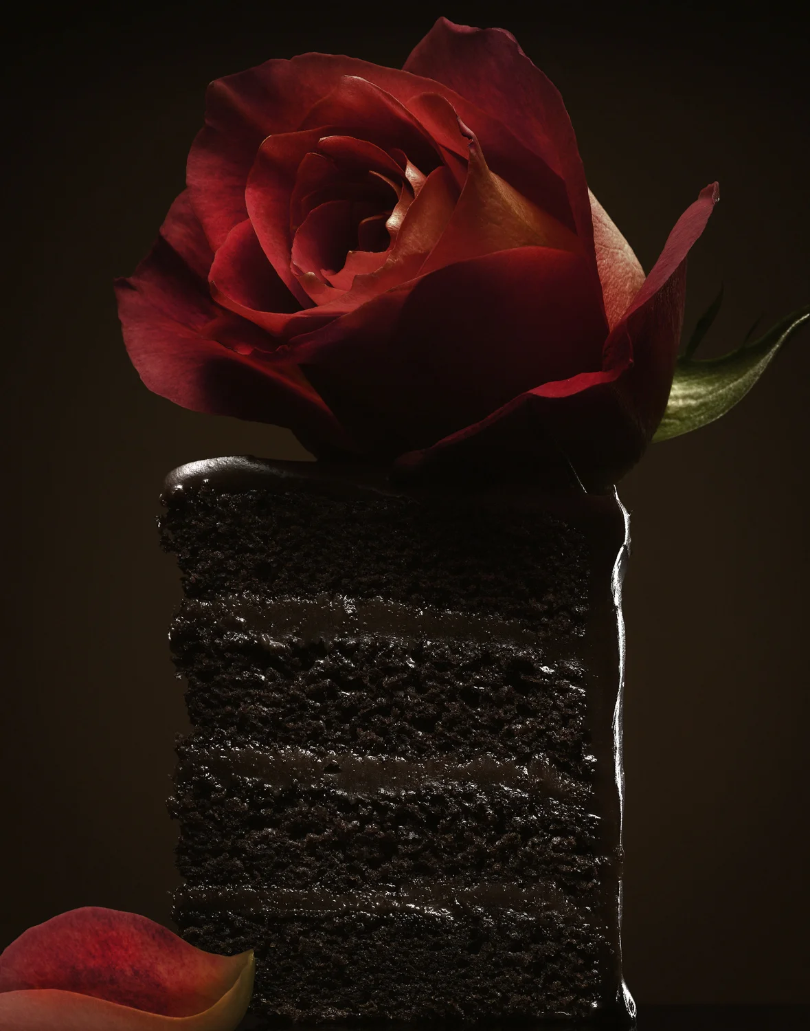 Cake_01rgb.jpg