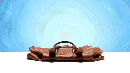 BagAnimation_01b.gif