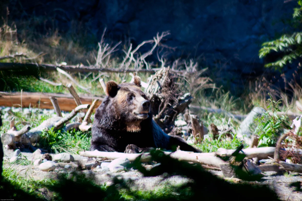 whidbey-37.jpg