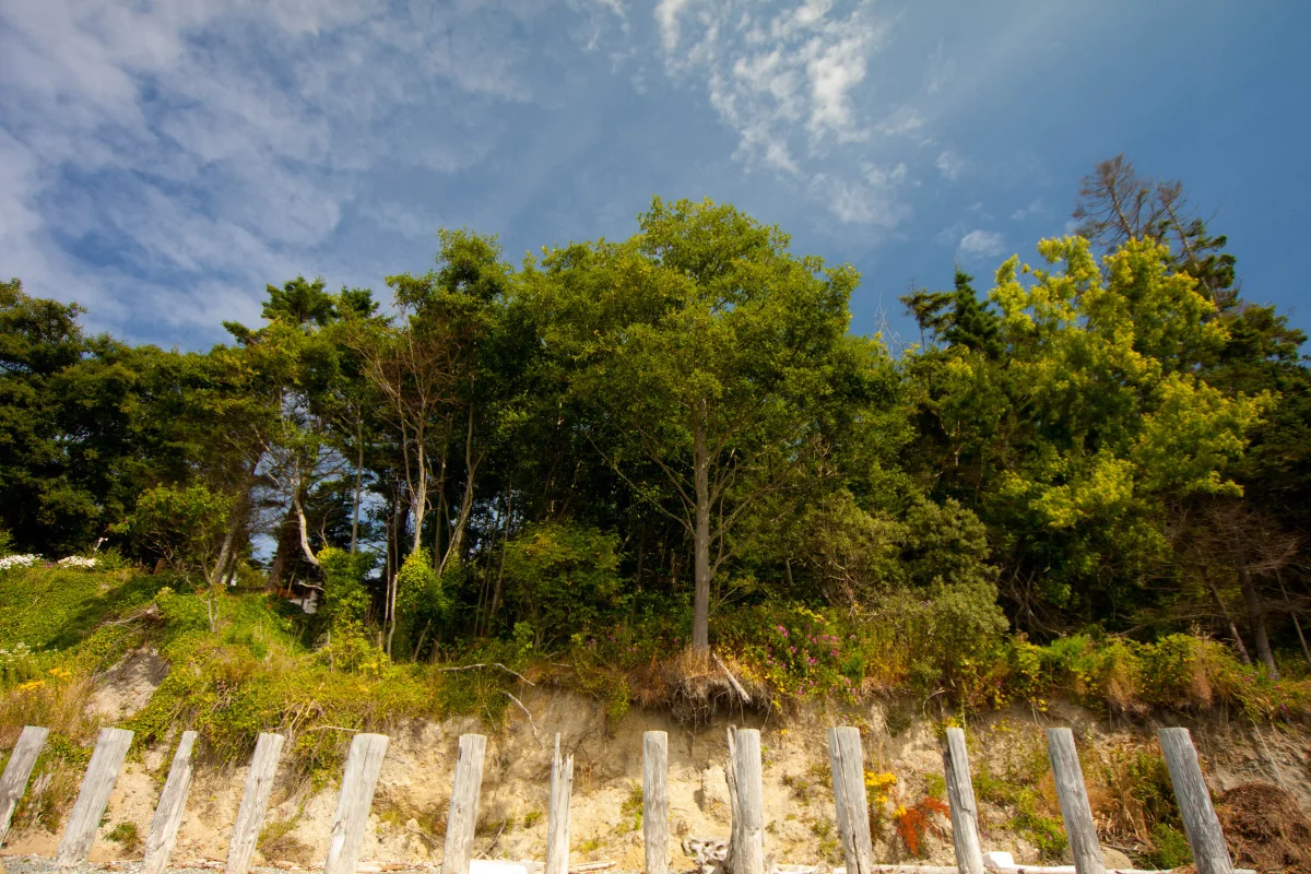 whidbey-30.jpg