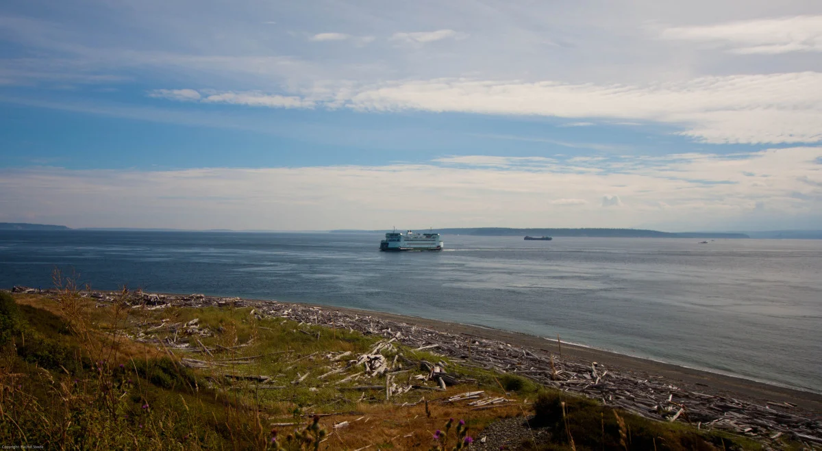 whidbey-31.jpg